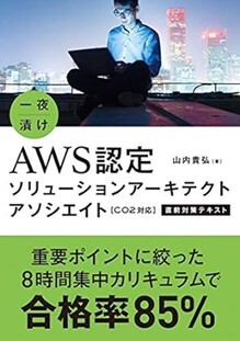 一夜漬けの表紙